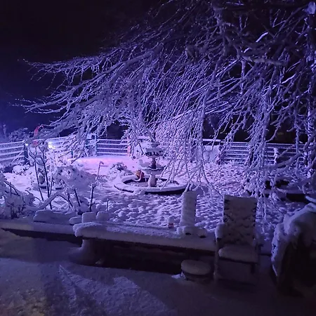 Eider * Karolinenkoog