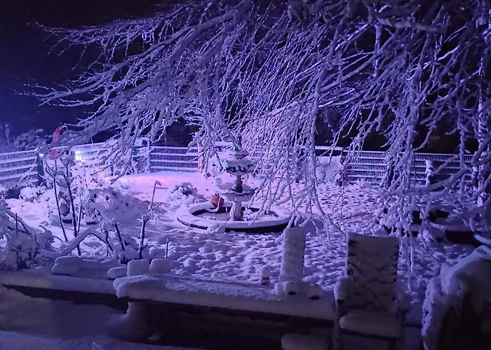 Eider * Karolinenkoog