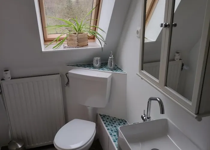 Eider * Karolinenkoog